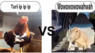turi ip ip ip vs wowowowowahwah (Epic Rap Battle)