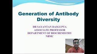 Generation of Antibody Diversity | www.molmeds.org