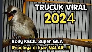 VIRAL di TikTok Trucukan GACOR KONSLET tanpa doping ‼️SIMBAR JATI