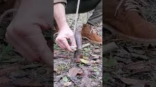 trap #bushcraft #trap #survival  #outdoors