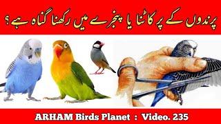 Is it a Sin to Cut the Wings of Parrots and kept in Cages? Answer in Urdu By |Arham|., Video. 235