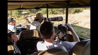 Discover East Africa with Jaynevy Tours | Unforgettable Safaris & Travel Adventures