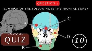 Can You Pass This Skull Anatomy and Physiology Quiz?  Questions with Answers | #quiz #Skullanatomy