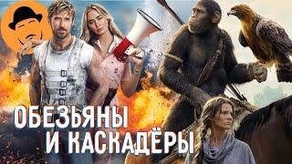 КАСКАДЁРЫ и ПЛАНЕТА ОБЕЗЬЯН - Обзор Премьер