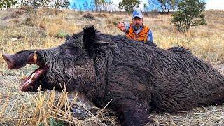 HUNTING the BEAST: INCREDIBLE Shots on WILD BOARS, EPIC Hunting Scenes!