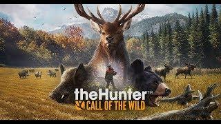 Live Stream - The Hunter Call Of The Wild