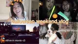 HALLOWEEN weekend in my life vlog | drive-in movie & getting my new puppy!