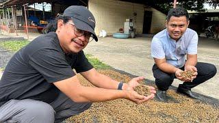 Legumes like Ipil-ipil leaves, gawin nating alternative Pellet feeds for goats