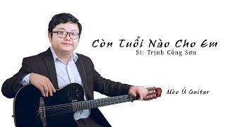 Còn Tuổi Nào Cho Em Guitar Cover | Mèo Ú Guitar