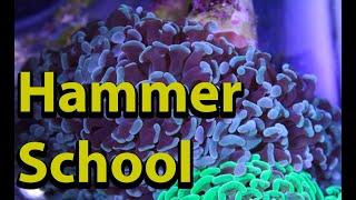 March Goes Back To Hammer Coral School