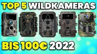 Wildkamera Test 2022 (TOP 5)  Wildkamera kaufen (bis 100€)