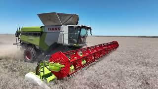 CLAAS LEXION 8800 - Kym Berry | CLAAS Harvest Centre