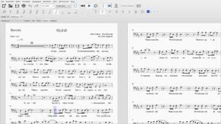 Adele: Skyfall sheet music video (Bass from SATB arrangement)