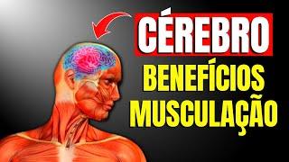 10 Benefícios da musculação para o cérebro | CORPO HIPERTROFIADO