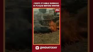 Punjab: Stubble Burning Seen In A Field In Daduana Village Of Amritsar