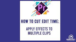 HOW TO CUT EDIT TIME  APPLY EFFECTS TO MULTIPLE CLIPS