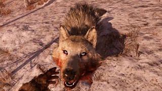 Far Cry Primal - Snowblood Wolf Free Roam Gameplay (PC HD) [1080p60FPS]