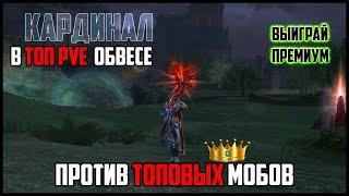 Кардинал с топ pve обвесом в Lineage 2. Справится ли хил? Тестирую хила в топовых локах л2. Руофф.