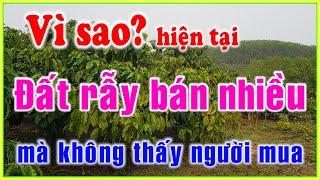 vì sao bà con bán đất rẫy nhiều nhưng rất khó bán và ít người mua tại thời điểm này