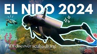 EL NIDO 2024  | Scuba Diving, Hostel Stay & Budget Breakdown