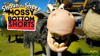 Bão | Mossy Bottom Shorts | Những Chú Cừu Thông Minh [Shaun the Sheep]