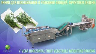 Линия фасовки и упаковки овощей, фруктов и зелени Vega Horizontal Fruit Vegetable Weighting Packing