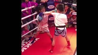 Boy fights girl in a ring