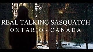 REAL LIFE TALKING SASQUATCH RECORDED ON CAMERA!!