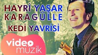 Hayri Yaşar Karagülle - Kedi Yavrisi #karadenizşarkıları  #horon