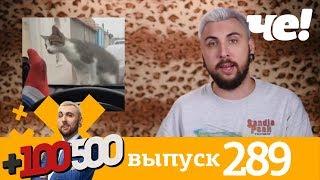 +100500 | Выпуск 289 | Новый сезон на телеканале Че!