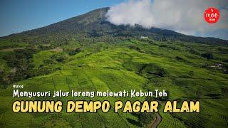 Gunung Dempo yang Eksotis Di Kota Pagar Alam | Vlog Terbaru