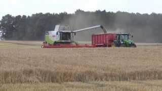 Gerstenernte mit 2x  Claas Lexion 580