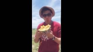 EATING YELLOW WATERMELON IN A WATERMELON PATCH ️