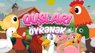 Quşları öyrənək