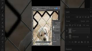 Remove Fence With Photoshop 2023 AI Beta | Photoshop Tutorial