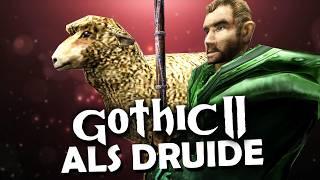 Gothic 2 als DRUIDE durchspielen? - Challenge