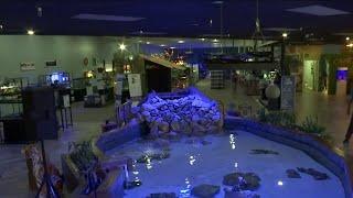 Floating Sea Aquatics | One of the nations largest aquatic stores is right here in Jax