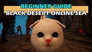 Beginner Guide - Black Desert Online South-East Asia (SEA)