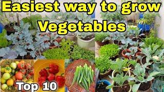 Top 10 VEGETABLES to grow at Home