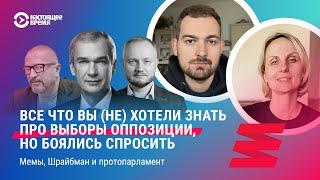 Все что вы (не) хотели знать про выборы в Координационный Совет. Мемы, Шрайбман и протопарламент