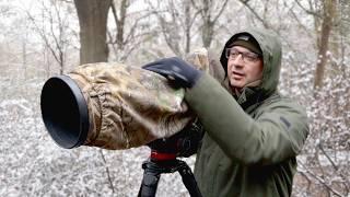 How to Photograph Small Birds at the Park: Bird Photography Tips & Tricks