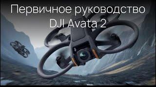 Первичное использование DJI Avata 2