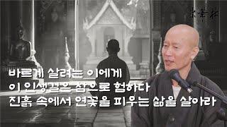 차담_바르게 살려는 이에게  이 인생길은 참으로 험하다. 진흙 속에서 연꽃을 피우는 삶을 살아라