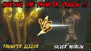 GLEEOK (THUNDER) VS SILVER MOBLIN !! (The Legend of Zelda: Tears of the Kingdom)