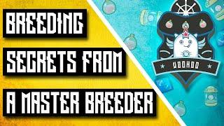 TOP SECRET BREEDING TIPS & TRICKS | Axie Infinity