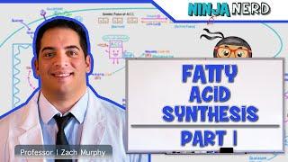 Metabolism | Fatty Acid Synthesis: Part 1