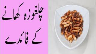 Chilgoza Khane Ke Fayde Pine Nuts Benefits In Urdu Ghatiya Ka Gharelu Ilaj Falij K lye Gharelu Totka