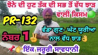 ਝੋਨੇ ਦੀ ਸਭ ਤੋਂ ਵੱਧ ਝਾੜ ਵਾਲੀ ਨਵੀਂ ਕਿਸਮ PR-132, ਘੱਟ ਯੂਰੀਆ ਵੱਧ ਝਾੜ | Paddy variety PR-132 details