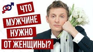 Что мужчине нужно от женщины? Что ищет мужчина в отношениях?