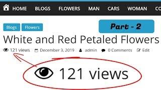How To Add Visitor Counter in WordPress Website part - 2
